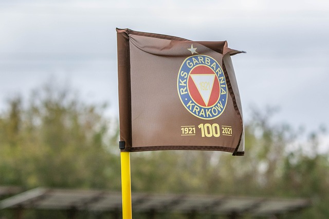 健康平衡的 健康平衡的