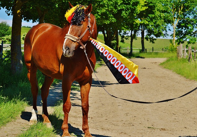 源上的優勢 源上的優勢