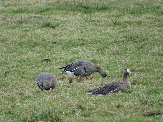 秋明团队都 秋明团队都