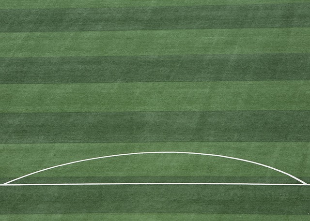 宝贵的分数 宝贵的分数