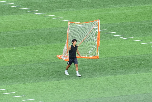 的战略安排 的战略安排