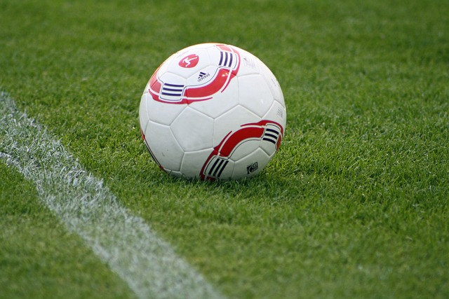 伤病问题却 伤病问题却