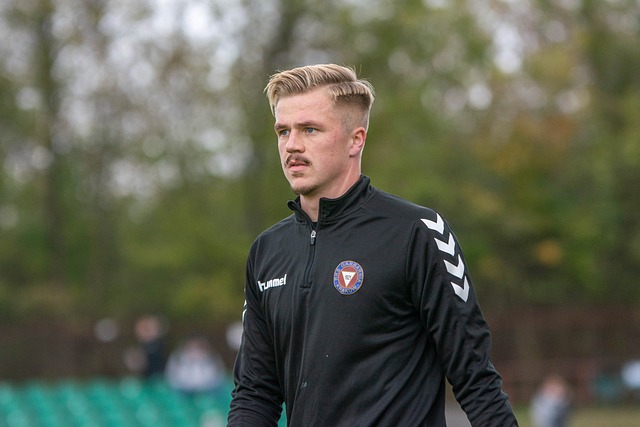 欣欣向荣的 欣欣向荣的