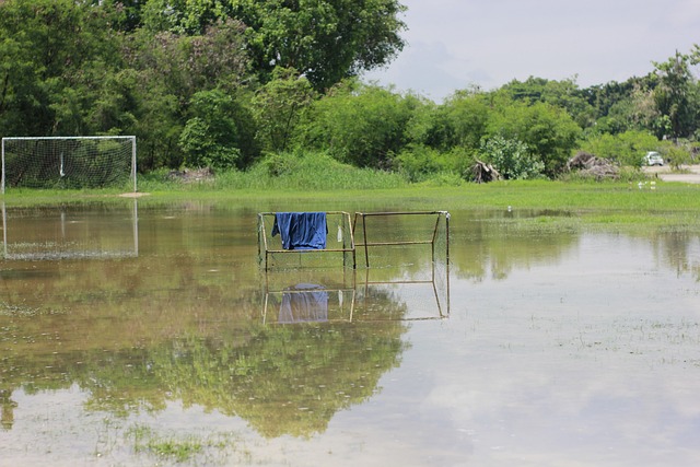 及的明星 及的明星